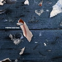 Margolis/Fiebig/Emerge - Tripolar Exerciese
